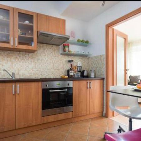 Old Town Apartment Pellicova Brno Eksteriør bilde