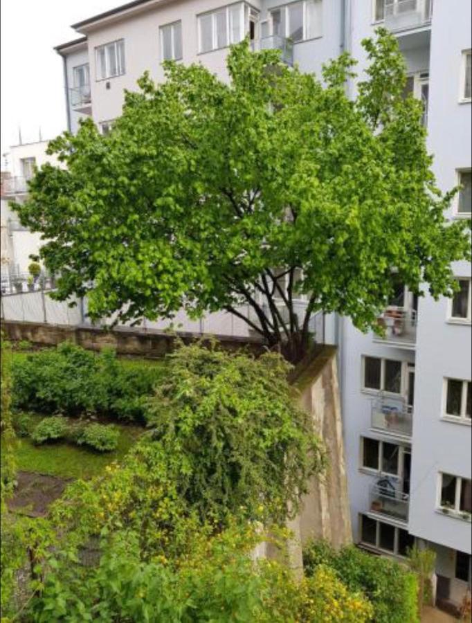 Old Town Apartment Pellicova Brno Eksteriør bilde